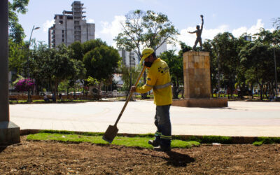 La EMAB instalará 10.000 metros cuadrados de prado en parques y zonas verdes de Bucaramanga